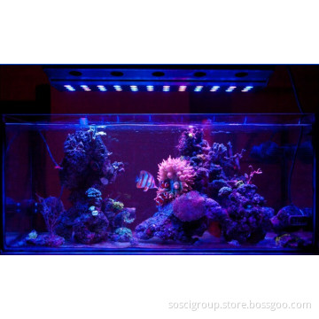 Full Spectrum Marine Reef Remote Control LED Dimmable Aquarium Lighting